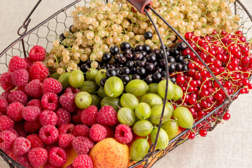 Summer fruits and berries - red, black and white currants, raspb