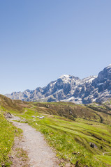 Fototapeta na wymiar Grindelwald, Alpen, Bergdorf, Berner Oberland, Engelhörner, Grosse Scheidegg, Wetterhorn, Wanderweg, Wanderferien, Sommer, Schweiz