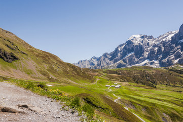 Fototapeta na wymiar Grindelwald, Berner Oberland, Alpen, Engelhörner, Grosser Scheidegg, Höhenweg, First, Rosenlaui, Schlucht, Schweizer Berge, Sommer, Schweiz