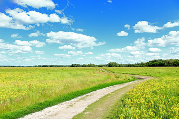 Fototapeta na wymiar road in the summer field with white clouds