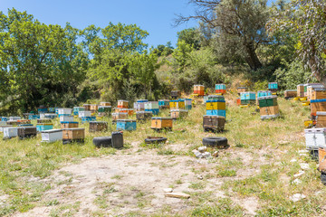 Beekeeping in Crete. Wooden hives on tyres in a landscape between the south and north of the island. Honey is a speciality of the mountainous region of Crete.