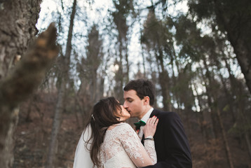 Wedding couple posing near pine forest.  Newlyweds in love