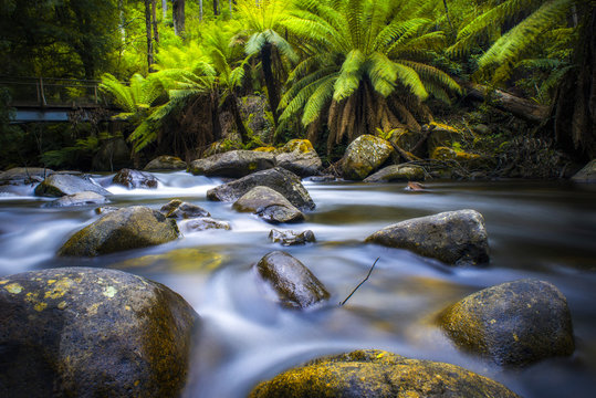 Taggerty River, Victoria, Australia