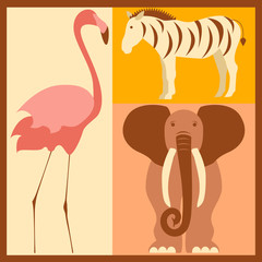 Vector set of stylized African animals elements - flamingo, zebra, elephant. Modern flat design. Perfect promotional flyer, booklets and articles. Vector eps10 illustration