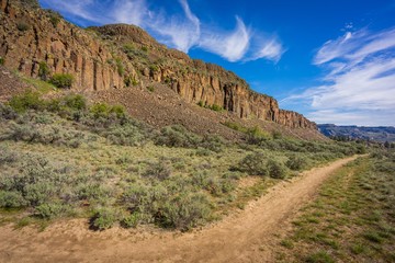 The road between the rocks. Dry plant in the canyon. STEAMBOAT ROCK TRAIL, Eastern Washington