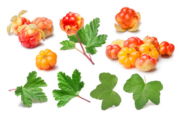 Set of cloudberries (Rubus Chamaemorus) and leaves, paths,elemen