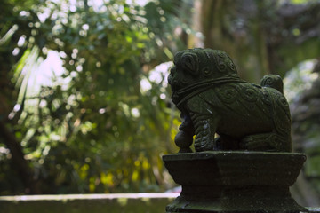 Fototapeta na wymiar Little lovely stone lion in Chinese ancient villa
