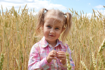 Little preschooler girl  happily in wheat field on warm and sunn