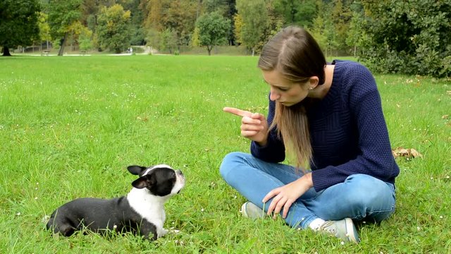 young attractive woman warn french bulldog with finger gesture in the park - punish