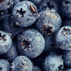 Blueberry with drops of water