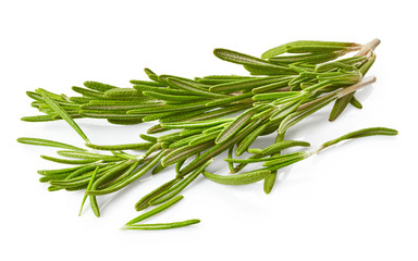 Fototapeta premium Rosemary