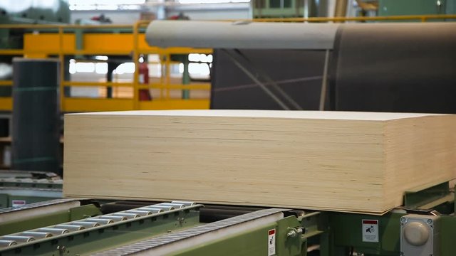 stack of plywood on the line