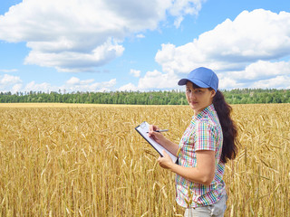 Naklejka na ściany i meble Farmer girl in a plaid shirt controlled his field wheat