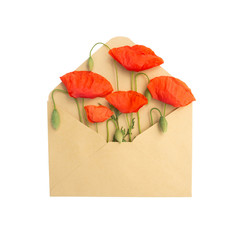 flowers in the envelope