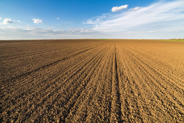 Agricultural landscape, arable crop field