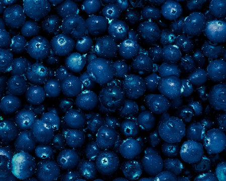 Berry Cranberry is in the box. Photographed close-up.