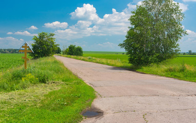 Fototapeta na wymiar Summer landscape with remote road between agricultural fields in Poltavskaya oblast, Ukraine.
