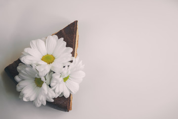 Piece of chocolate cake with flowers on white background. Instag