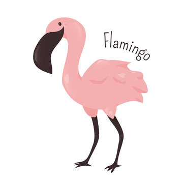 Cartoon pink flamingo isolated on white