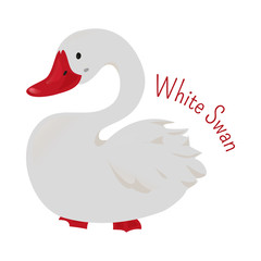 White cartoon swan isolated