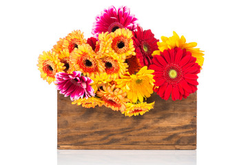 Box of mixed flowers on white background