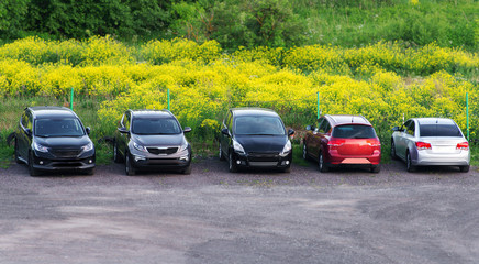 Several cars parked on parking lot. © M-Production