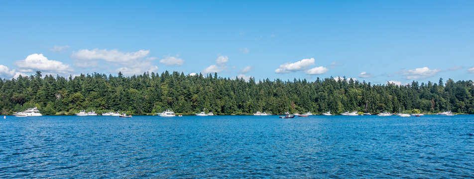 Boats On Lake Washington 3