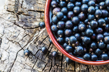 Black currants in a bowl