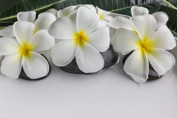 Crédence de cuisine en verre imprimé Frangipanier White flowers plumeria or frangipani in white tray and water
