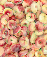 Watercolor painting. Pink peaches background.