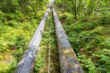 Two large black water pipes, converging in distance.