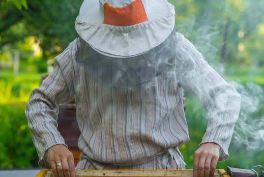 Beekeeper holding bees wax honeycomb. Work in the apiary.