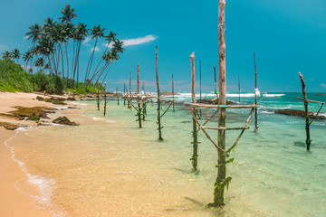 Fototapeta na wymiar Nature of Asia: Sri Lanka. Sunny ocean beach.