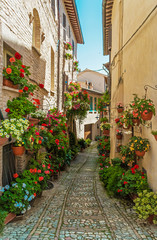 Spello (Perugia), the awesome medieval town in Umbria region, central Italy, during the floral competition after the famous Spello's intfiorate.