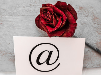 Dried rose flower bud. next to the bud is an envelope which shows icon mail.