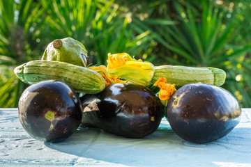 Vegetables,fresh raw eggplant,raw zucchini and zucchini flowers on the table.