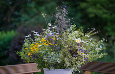 Bouquet of summer grass and flowers.