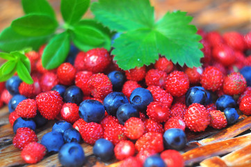 Wild strawberries and blueberries, wattled background