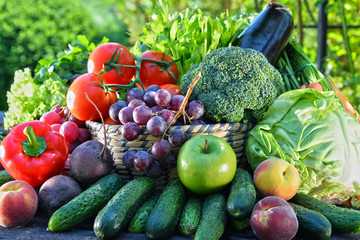 Variety of fresh organic vegetables and fruits in the garden