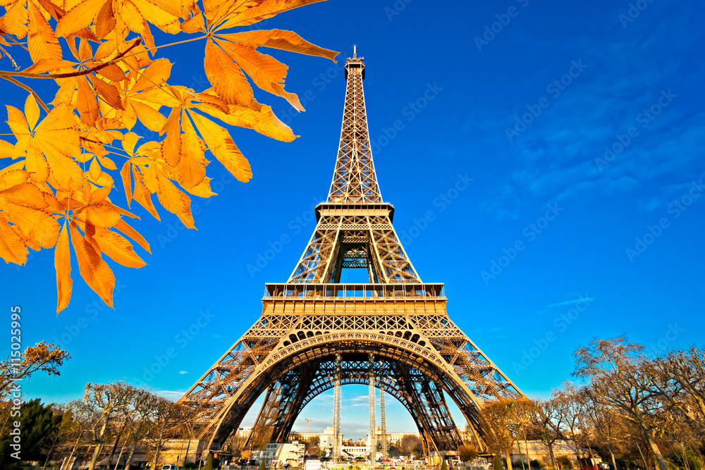 Fototapete Eiffel tower at sunrise, Paris.