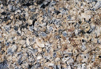 Ashes texture, grunge background