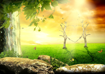 Fototapete bei efototapeten.de bestellen   