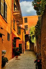 Fototapeta na wymiar Narrow alley in the Portofino, Italy