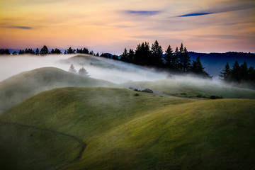 Mist over rolling green  hills at sunset