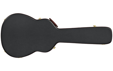 Guitar case for professional acoustic guitar, front view. 3D graphic - 115031508