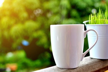 cups of coffee or tea on nature background and sunlight