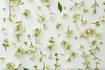 Fresh jasmine flowers background