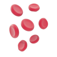 Red blood cells isolated on white backround. 3d illustration