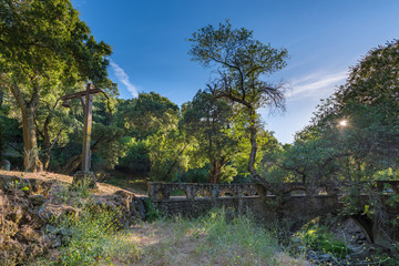 Old Bridge in Alum Rock Park, San Jose