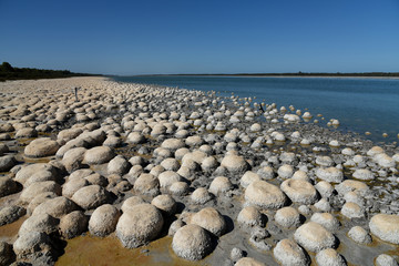 Living Fossils: The Thrombolites of Lake Clifton